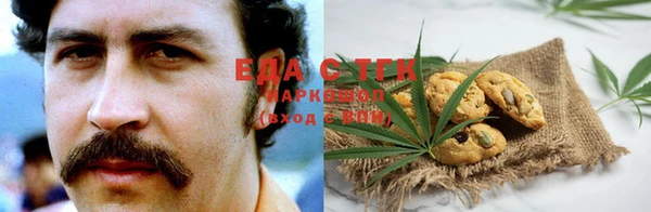 прущие грибы Тавда