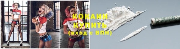 прущие крисы Пересвет