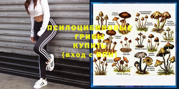 прущие крисы Пересвет