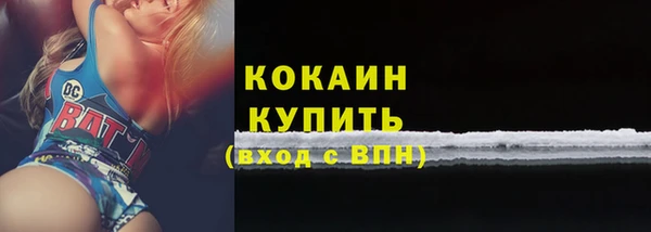 мяу мяу мука Пестово