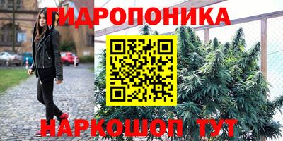 прущие грибы Гусь-Хрустальный