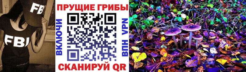 Галлюциногенные грибы GOLDEN TEACHER  магазин продажи наркотиков  Анапа 