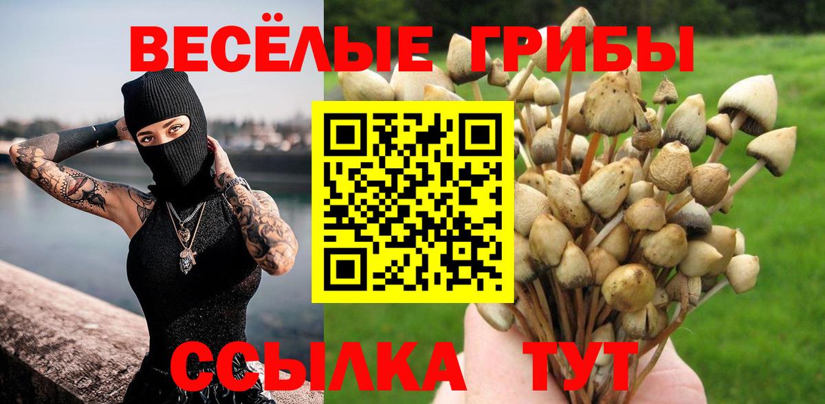 Псилоцибиновые грибы Psilocybine cubensis Анапа