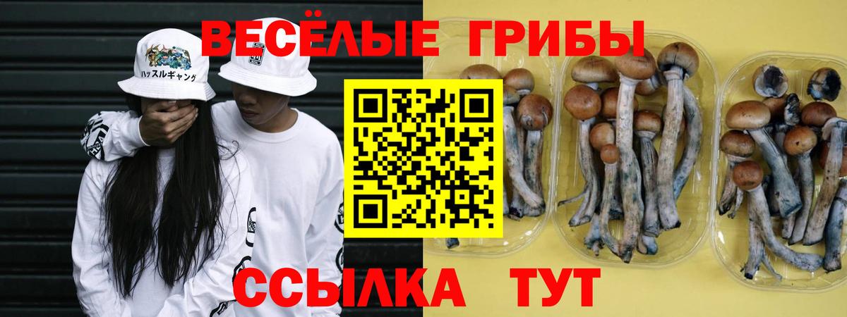 Псилоцибиновые грибы Psilocybine cubensis  Вход с VPN  Анапа 
