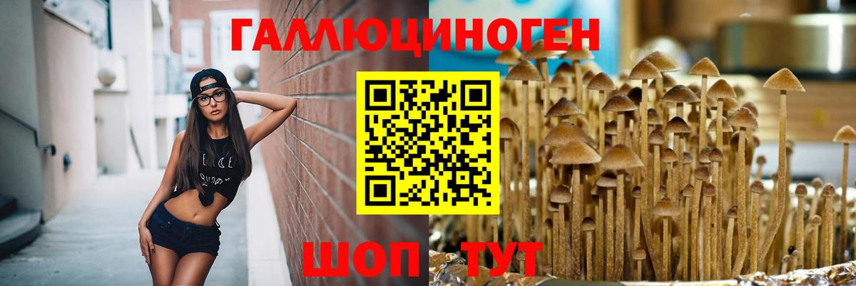 Галлюциногенные грибы GOLDEN TEACHER Анапа